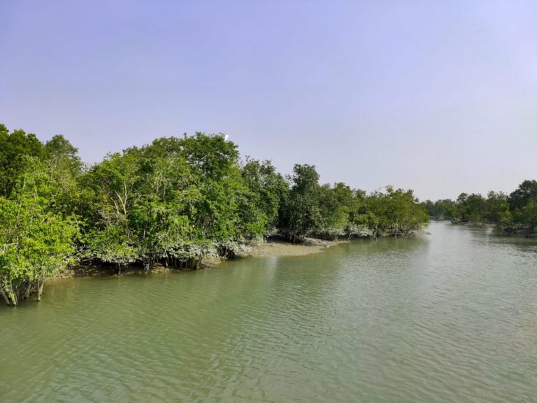 Sundarban Trip