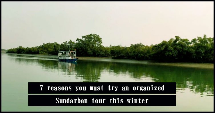 You are currently viewing 7 reasons you must try an organized Sundarban tour this winter