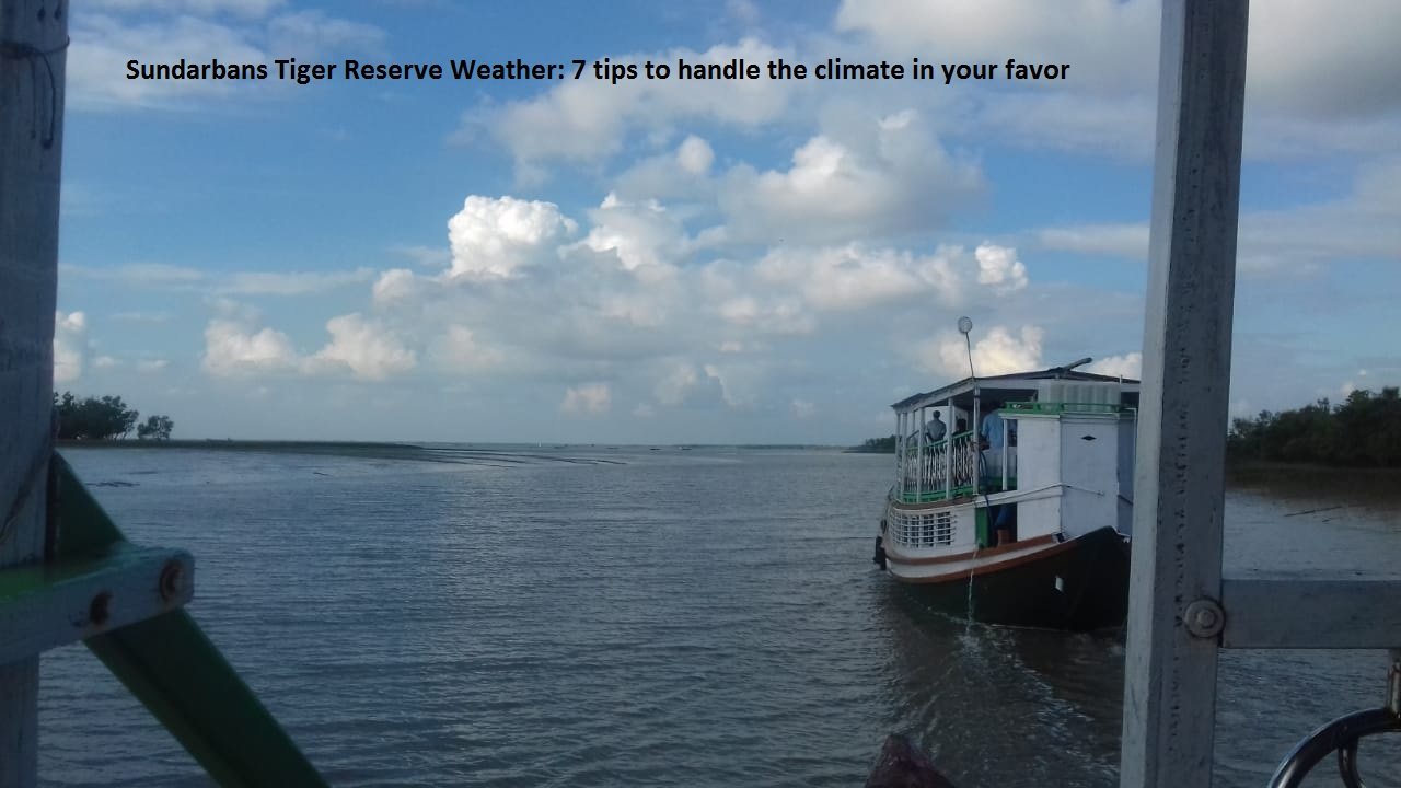 You are currently viewing Sundarbans Tiger Reserve Weather: 7 tips to handle the climate in your favor