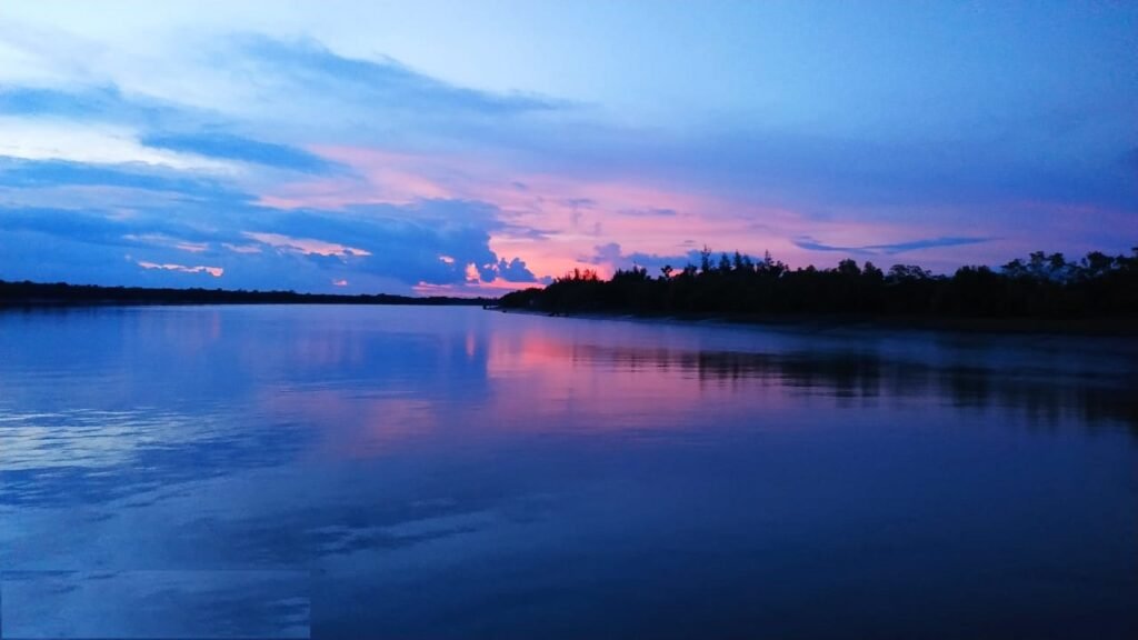 Sundarban Sunset View