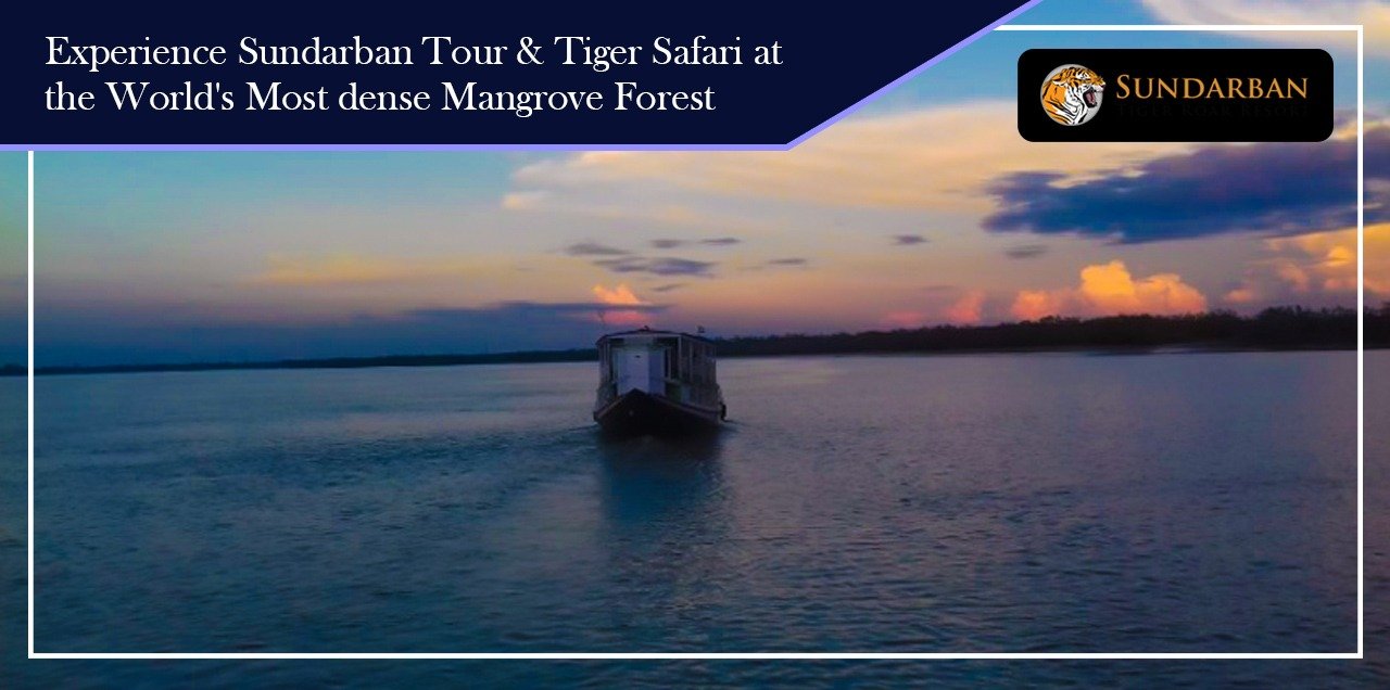 You are currently viewing Experience Sundarban Tour& Tiger Safari at the World’s most dense Mangrove Forest