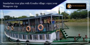 Read more about the article Sundarban Tour Plan with Gosaba Village: Enjoy your Mangrove Trip