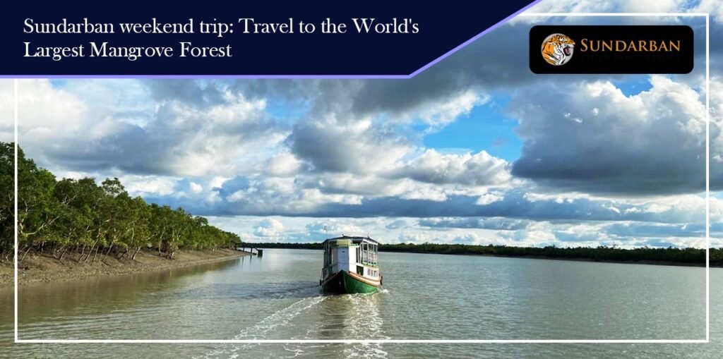 Sundarban weekend trip: 6 best clues as Sundarban tour guide