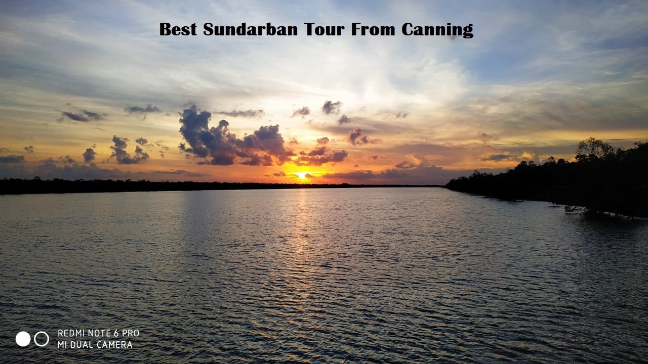 Read more about the article Best Sundarban Tour from Canning