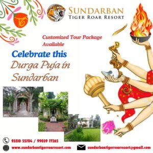 Read more about the article Sundarban Durga Puja Tour Package 2024