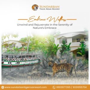 Read more about the article Best hotel in Sundarban
