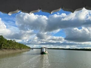 Read more about the article Sundarban Tour : 10 reasons to book a Sundarban tour package
