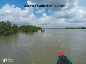 Read more about the article Discover Sundarban Tourism: Wildlife and Beyond