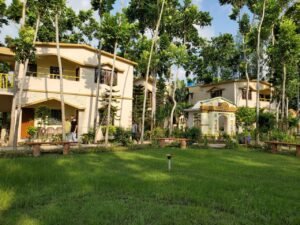 Read more about the article Sundarban Tiger Roar Resort: A Dream Stay for Wildlife Enthusiasts